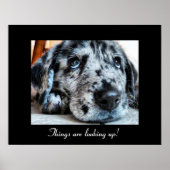 Die Dinge schauen nach oben! Poster (Vorne)