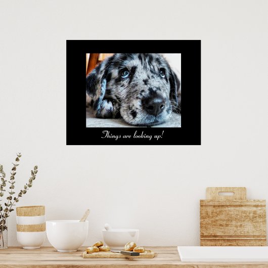 Die Dinge schauen nach oben! Poster (Küche)