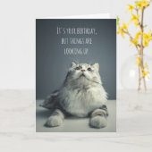 Die Dinge sehen sich die Cat Birthday Card an Karte (Gelbe Blume)