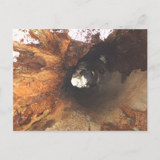 Die Dinge sind eng Postkarte (Vorderseite)