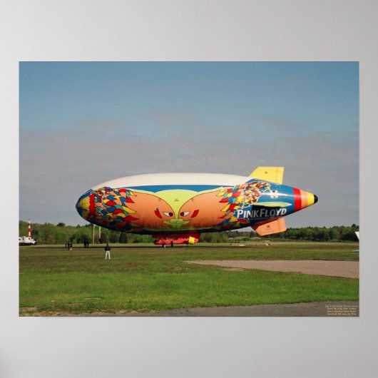 Die Division Belle Poster (Vorne)