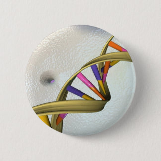 Die DNS-Sammlung Button