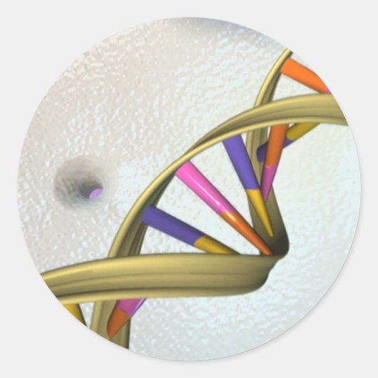 Die DNS-Sammlung Runder Aufkleber (Vorderseite)