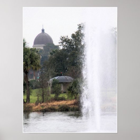 Die Domes im Park Poster (Vorne)