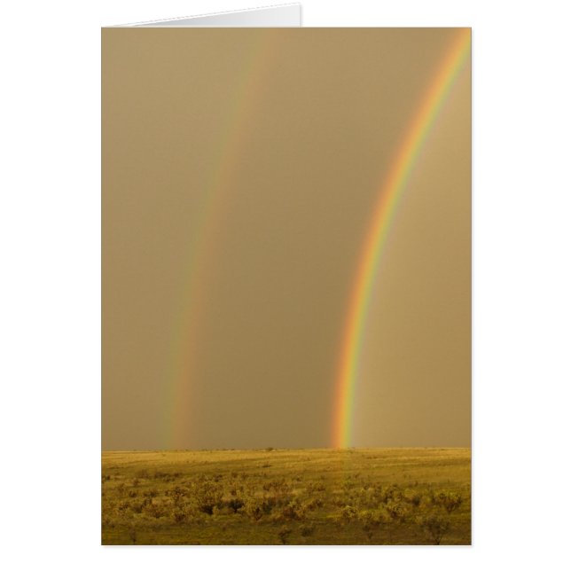 Die doppelte Liebe (Vorne)