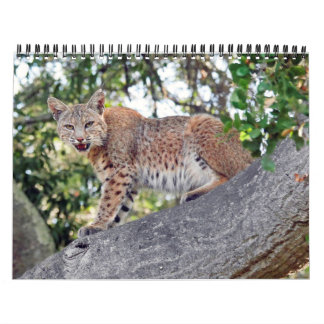 Die Dörfer Vogel und Tier-Kalender Kalender