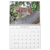 Die Dörfer Vogel und Tier-Kalender Kalender (Jan 2027)