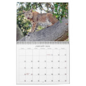 Die Dörfer Vogel und Tier-Kalender Kalender (Jan 2026)