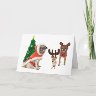 Die Doubles Feiertagskarte