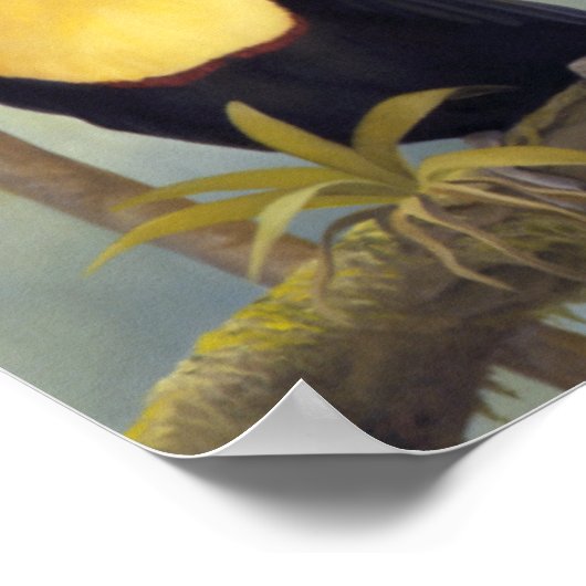 Die drei Amigos Poster (Ecke)