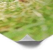 die drei Amigos Poster (Ecke)