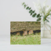 die drei Amigos Postkarte (Stehend Vorderseite)