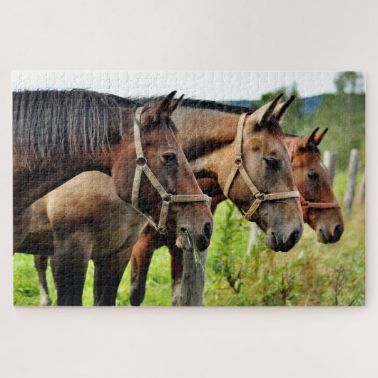 Die drei Amigos Staring-Freunde Puzzle (Horizontal)