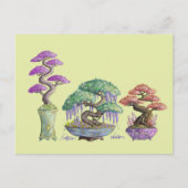 Die drei farbigen Bonsai-Vasen. Postkarte (Vorderseite)