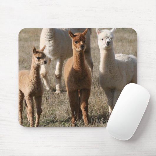 Die drei Freunde, Alpaka-Ähnlich Mousepad (Mit Mouse)