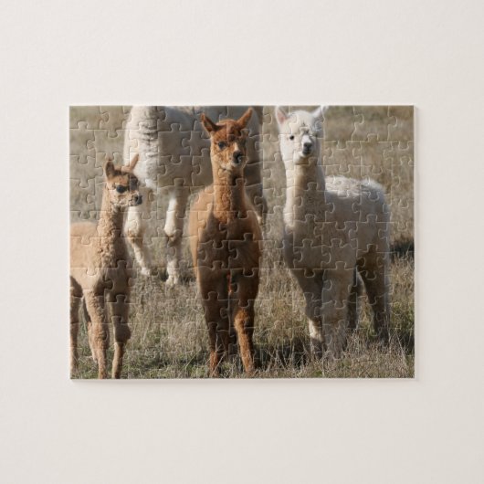 Die drei Freunde, Alpaka-Ähnlich Puzzle (Horizontal)