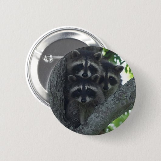 Die drei Freunde Button (Vorne & Hinten)