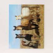 Die drei Freunde des Pferdes Amigos Puzzle (Vertikal)
