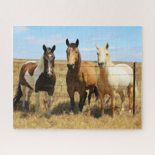 Die drei Freunde des Pferdes Amigos Puzzle