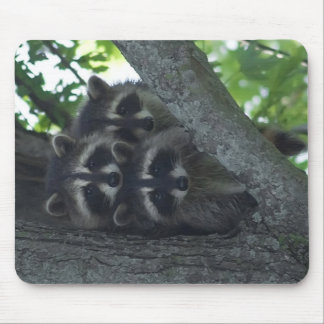 Die drei Freunde Mousepad