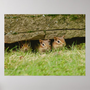 die drei Freunde Poster