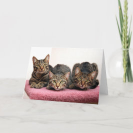 Die drei Karten des Freundes