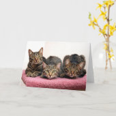 Die drei Karten des Freundes (Gelbe Blume)