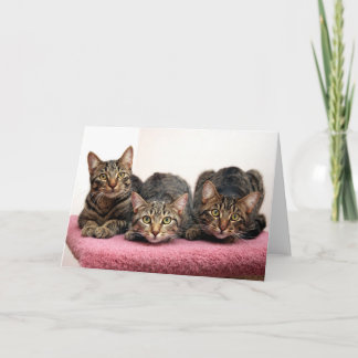 Die drei Karten des Freundes