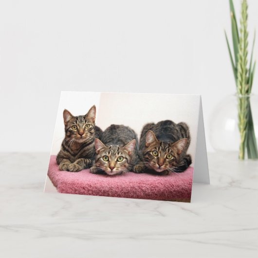 Die drei Karten des Freundes (Vorderseite)