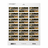 Die drei kleinen Schweine Adressaufkleber (Vorne)