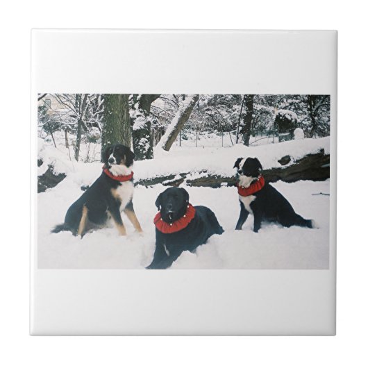 Die drei Musketiere! Fliese (Vorderseite)