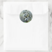 Die drei Raccoons Runder Aufkleber (Tasche)