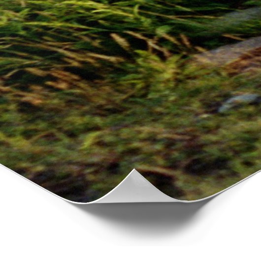 Die drei Schwestern Poster (Ecke)