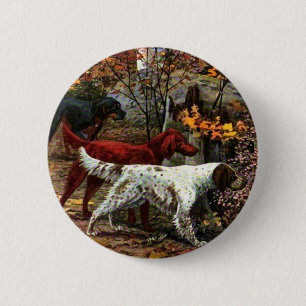 Die drei Setter-Taste Button