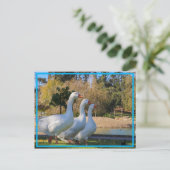 Die drei Stooges Postkarte (Stehend Vorderseite)