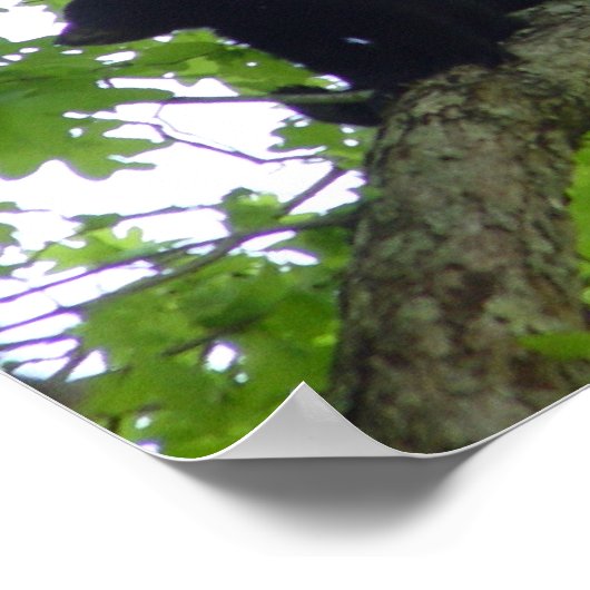 Die drei Zentren Poster (Ecke)