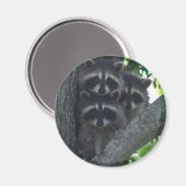 Die drei Ziele Magnet (Vorderseite/Rückseite)