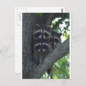 Die drei Ziele Postkarte (Vorne/Hinten)