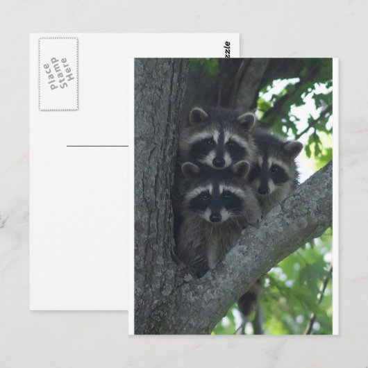 Die drei Ziele Postkarte (Vorne/Hinten)