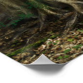 Die Dryad Poster (Ecke)