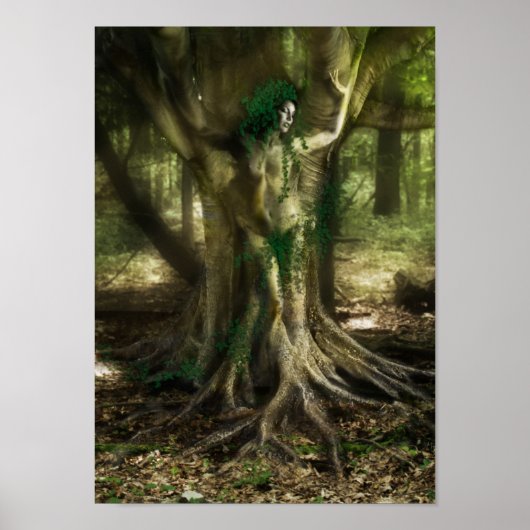 Die Dryad Poster (Vorne)