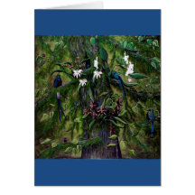 Die Dschungel von Tikal