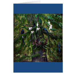 Die Dschungel von Tikal