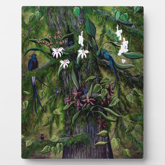 Die Dschungel von Tikal Fotoplatte (Vorderseite)