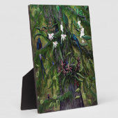 Die Dschungel von Tikal Fotoplatte (Seite)