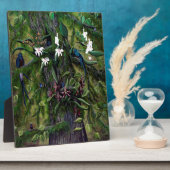 Die Dschungel von Tikal Fotoplatte (Seite)