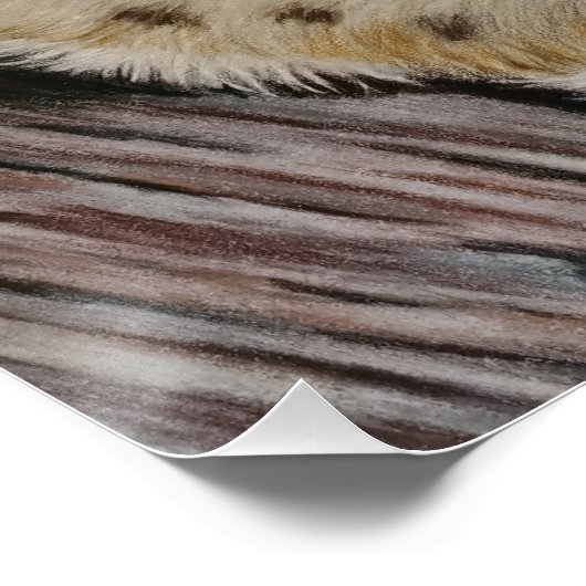 Die Dschungelkönigin Poster (Ecke)