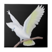 Die DuCorps Cockatoo-Papageien-Fliese Fliese (Vorderseite)