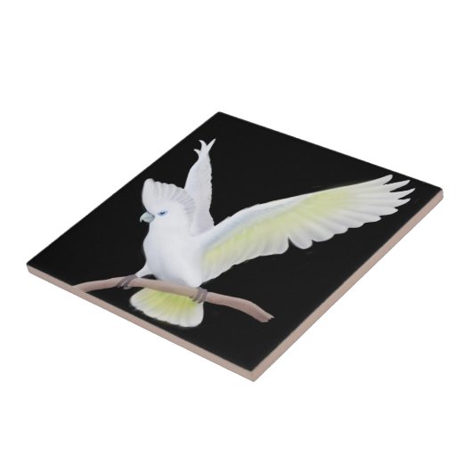 Die DuCorps Cockatoo-Papageien-Fliese Fliese (Seite)