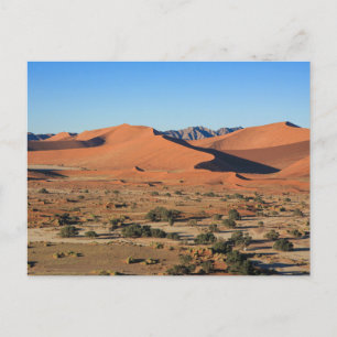 Die Dünen des Sossusvlei in Namibia Postkarte